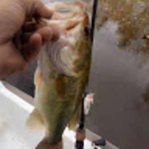 Meet your Posher, Brad